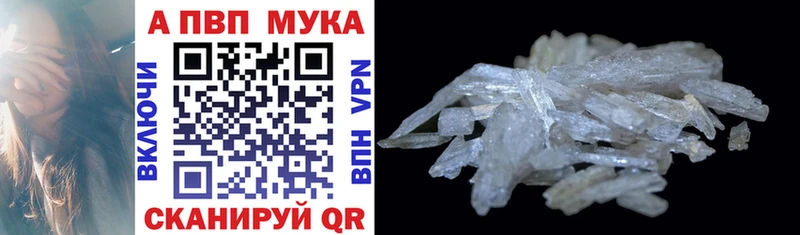 Купить  Зуевка  A PVP крисы CK 