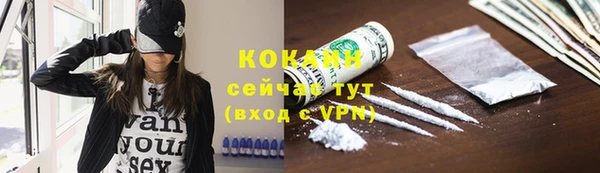 ALPHA PVP Киреевск